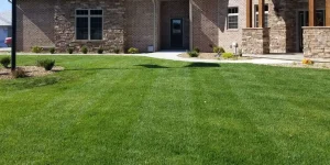 tips for keeping lawn green