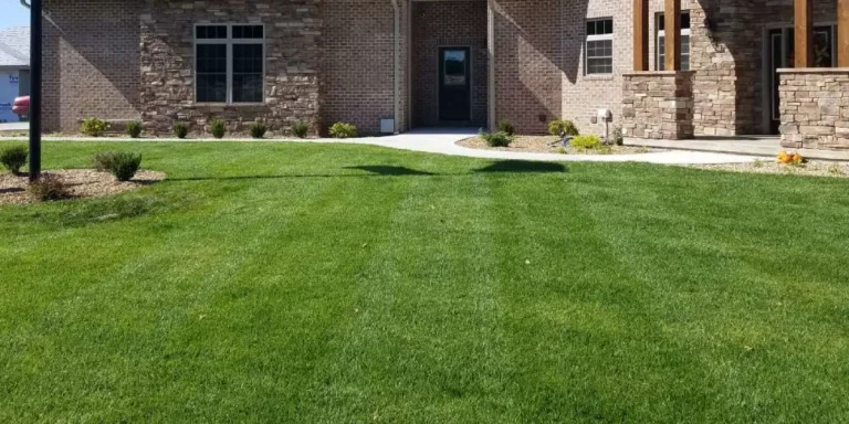 tips for keeping lawn green