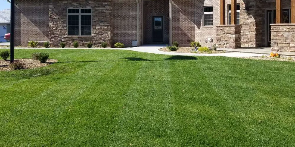 tips for keeping lawn green